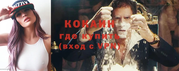 дживик Бронницы