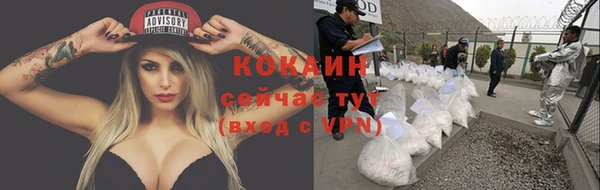 дживик Бронницы