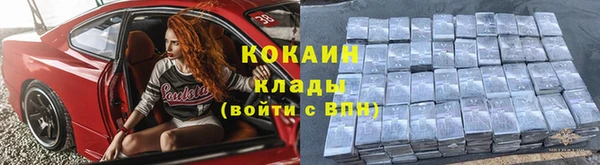 дживик Бронницы
