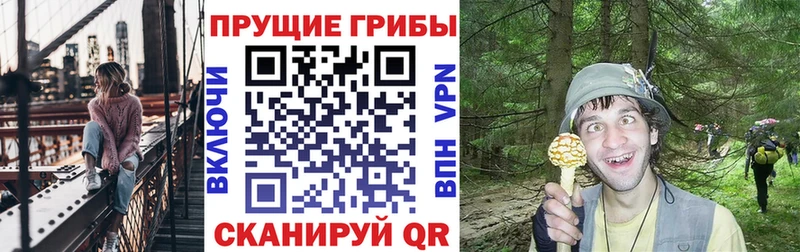 Псилоцибиновые грибы прущие грибы  Купить  Суджа 
