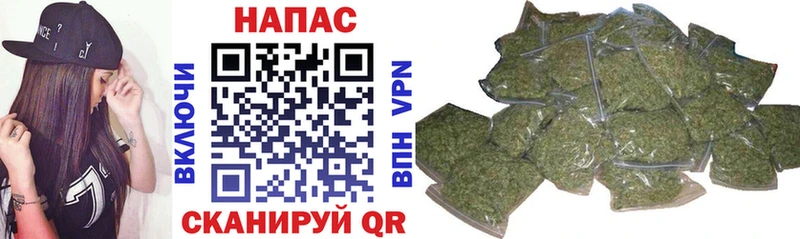 МАРИХУАНА ГИДРОПОН  Купить где  Суджа 